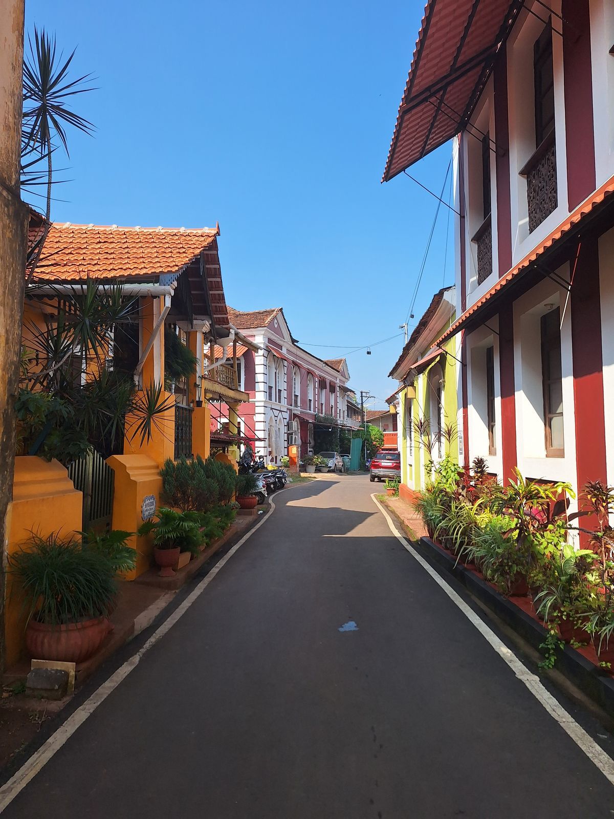 Goa Vibes 1